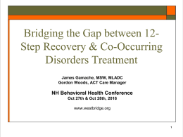 Bridging the Gap between 12-Step Recovery and Dual Disorders