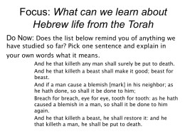 7.Torah