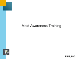 In-Person Mold Awareness Presentation