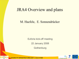 JRA4 Overview and plans M. Haefele, E. Sonnendrücker