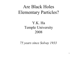 Black Holes and Elementary Particles