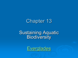 Ch 13 Sustaining Aquatic Biodiversity