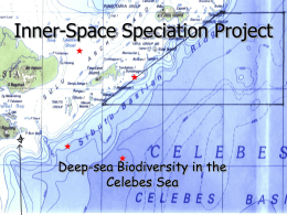 Inner Space Speciation Project, Celebes Sea