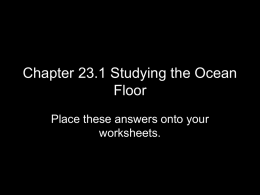Chapter 23 Worksheets