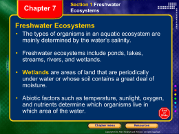 Ch. 7 Notes-Aquatic Ecosystems