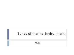 benthic zone - Lectures For UG-5