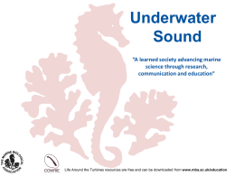 primary_underwater_sound_pp