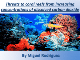 threats to coral reefs from increasing concentrations of dissolved