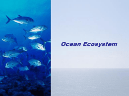 Ocean_Ecosystem-powerpoint