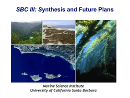 Synthesis and Future Plans