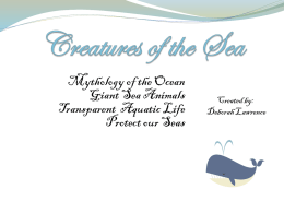 Students final project: Creatures_of_the_Sea_Final BEST of all