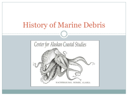 History of Marine Debris - gyre tools for teachers