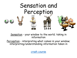 Sensation - Cobb Learning