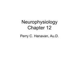 Neurophysiology Chapter 13