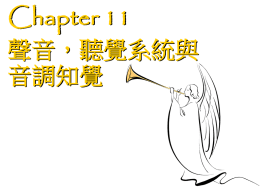 Chapter 10 聲音，聽覺系統與音調知覺