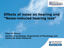 Noise-induced Hearing Loss