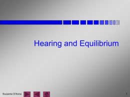 7-4 Hearing and Equlibirium