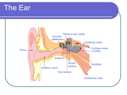 The Ear - UniMAP Portal