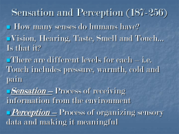 Sensation and Perception (7-9%)