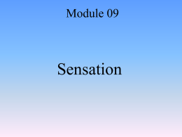 Psych B – Module 9