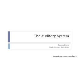 Models of the auditory system