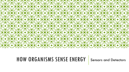 How organisms sense energy