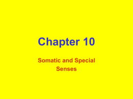 Chapter_10