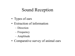Sound Reception