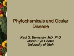 Phytochemicals and Ocular Disease