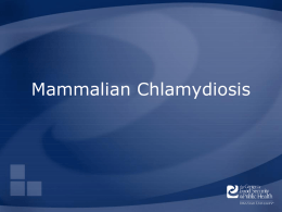 ChlamydiosisMammalian - The Center for Food Security and
