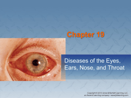 Chapter 19: Diseases of the Eyes, Ears, Nose, and Throat