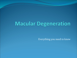 Macular Degeneration - Norman Salmoni Opticians