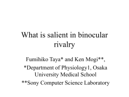 What is salient in binocular rivalry?