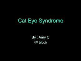 Cat eye syndrome
