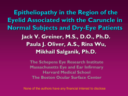 Epitheliopathy in the Region of the Eyelid Associated With the