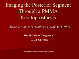 Imaging the Posterior Segment Through a PMMA Keratoprosthesis