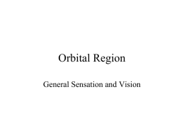 Orbital Region