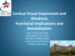 Cortical Visual Impairment and Blindness, Functional Implications