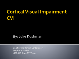 Cortical Visual Impairment CVI