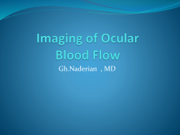 Imaging of ocular Blood Flow