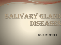 salivary gland - WordPress.com