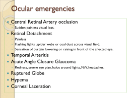 Diagnostic Workup of Ocular Emergencies