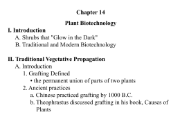 VI. Genetic Engineering or Recombinant DNA Technology
