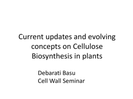 Cellulose biosynthesis *old and new concepts