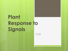 Plant Response to Signals