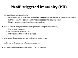 PAMP_triggered_immun..