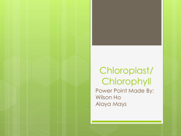 Chlorophlast and Chlorophyll