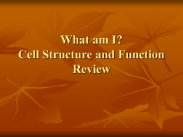 What am I Cell Structure and Function Review