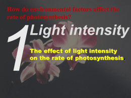 How do environmental factors affect the rate of photosynthesis?