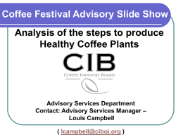 Coffee Festival Advisory